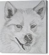 Wolf The Husky Canvas Print