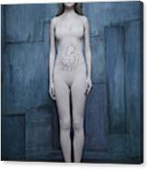 Woman In Body Suit With Intestine Illustration Canvas Print