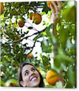 Woman In Orange Orchard Canvas Print