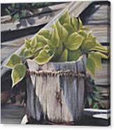 Wood Bucket - Pastel Canvas Print