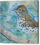 Wood Thrush - Bird In The Wild Canvas Print