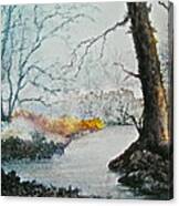 Wooded Stream Canvas Print