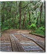 Wooden Bridge 1 Canvas Print