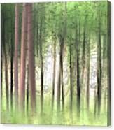 Woodland Trees In Summer Canvas Print