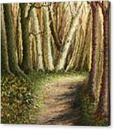 Woodland Walk Canvas Print