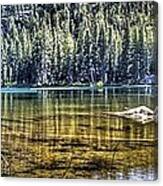 Woods Lake 3 Canvas Print