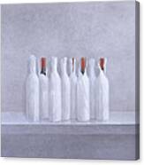 Wrapped Bottles On Grey 2005 Canvas Print