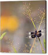 X Marks The Dragonfly Canvas Print