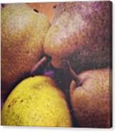 #xtragoldcj4 #pears #fruit #food Canvas Print