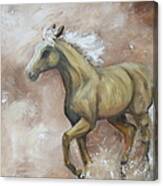 Yearling In Storm Canvas Print