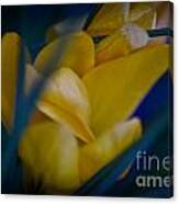 Yellow And Blue Canvas Print