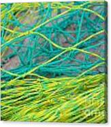 Yellow And Green Nylon Nets Canvas Print