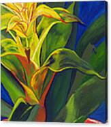 Yellow Bromeliad Canvas Print