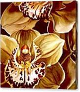 Yellow Cymbidium Orchid Canvas Print