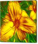 Yellow Day Lilies Canvas Print