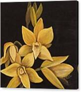 Yellow Orchid Canvas Print