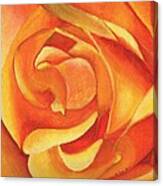 Yellow Rose #3 Canvas Print