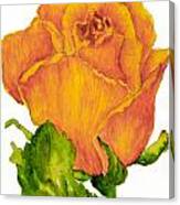 Yellow Rose Bud Canvas Print