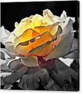Yellow Rose Series - ...but Soul Is Alive Canvas Print