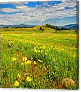 Yellowstone Blacktail Plateau Canvas Print