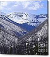 Yellowstone East Entrance Spring Canvas Print