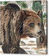 Yellowstone Grizzly Canvas Print