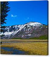 Yellowstone National Park Canvas Print