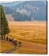 Yellowstone Pack Trips Canvas Print