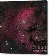 Young Star-forming Complex Ngc 7822 Canvas Print