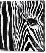 Zebra Eye Canvas Print Zebra Eye Canvas Print