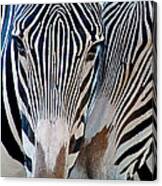 Zebra Pattern Canvas Print