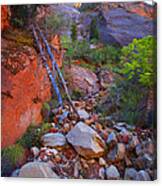 Zion National Park Utah Usa #48 Canvas Print