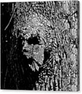 Zombie Tree Troll Canvas Print