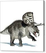 Zuniceratops Dinosaur, Artwork Canvas Print