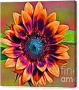Orange Flowers In Their Buttonholes Canvas Print