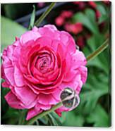 The Essence And Elegance Of Pink Canvas Print