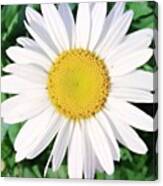 Му #flowers #webstagram #iphonegraphy #1 Canvas Print