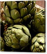 Artichoke #1 Canvas Print