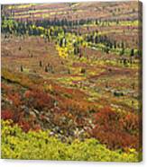 Autumn Tundra With Boreal Forest #1 Canvas Print