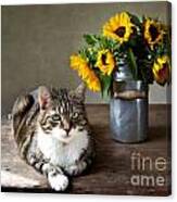 Cat And Sunflowers #1 Canvas Print