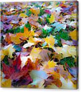 Fall Leaves #3 Canvas Print