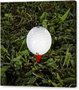 Golf Ball #1 Canvas Print