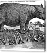 Hippopotamus #1 Canvas Print