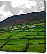Irish Countryside #1 Canvas Print