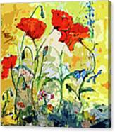 Poppies Provencale Canvas Print