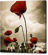 Red Weed #1 Canvas Print