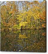 Reflection Of Autumn Colors On The Canal Canvas Print