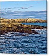Schoodic Point Acadia National Park #1 Canvas Print