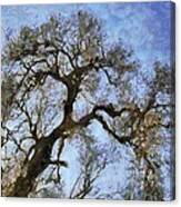 Tree #1 Canvas Print