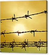 Wire Fence #1 Canvas Print